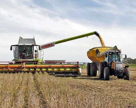Para aumentar la oferta de dólares, no habrá retenciones a los granos hasta el 31 de octubre
