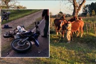 Motociclistas quisieron esquivar una camioneta y chocaron unos caballos