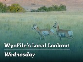 Local Lookout: Casper makes way for housing | Gillette mulls paying teachers to carry guns