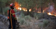 Boy, 14, gives wild reason for starting devastating wildfires as 97 blazes tackled