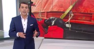 Rating del domingo 7 de septiembre en Chile: cómo le fue a CHV, Mega, Canal 13 y TVN