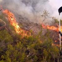 Climate change made heat behind deadly Iberian fires 40 times more likely: study