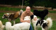 Pedro Francy, gerente general del Grupo Tigre en Perú: “La vida es una carrera de resistencia, no de velocidad” | ping pong 