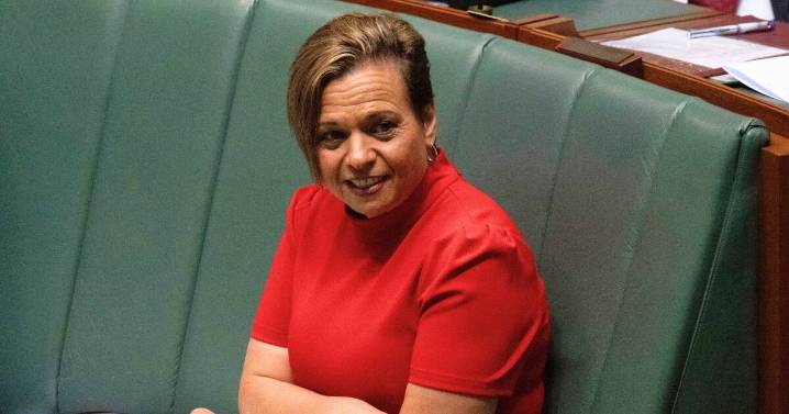 Opinion: Labor plans to amend FOI laws raise transparency fears