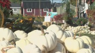 Idaho farms blend fall fun with agricultural education