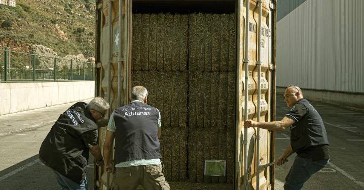 Aumento "alarmante" del narcotráfico en Barcelona con un 70% más de procedimientos judiciales, casi el doble que en Madrid