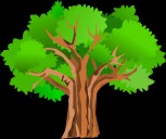 Support Grows For ‘Fix Our Forests Act’