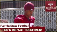 ELITE RECRUITS: Florida State Added PLAYMAKERS