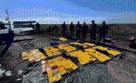 Secuestraron casi 50 mil kilos de estupefacientes en el marco de la investigación por la avioneta narco de Ibicuy