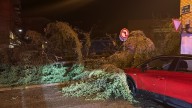 Una tromba de agua, viento y granizo ha arrancado arbolado y ha anegado locales en Binéfar