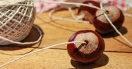 Drivers told to place conkers in car in September or face £2,500 fines