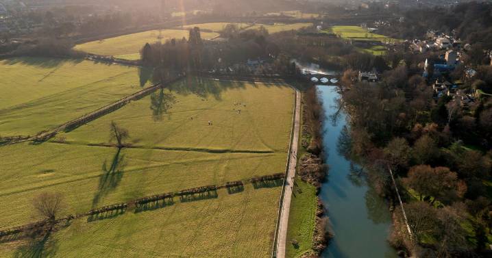 West of England leaders pledge to 'turn the tide' on nature's decline