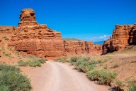 Muere conductor de Colorado tras caer con su auto por un precipicio en el Gran Cañón