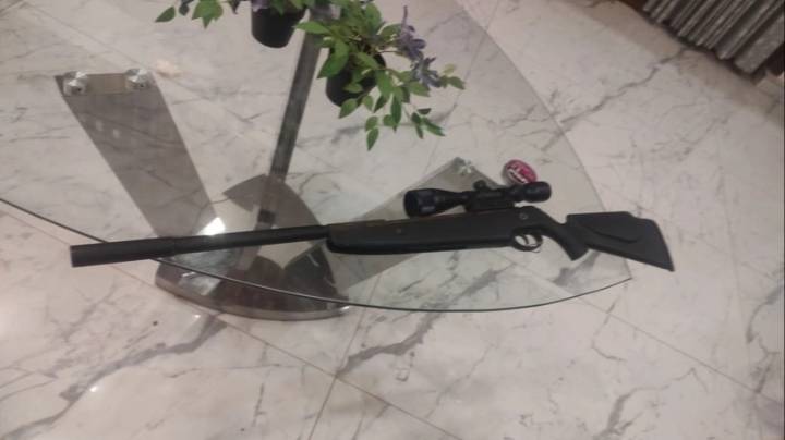 Defendieron a los menores que mataron a un perro de un escopetazo