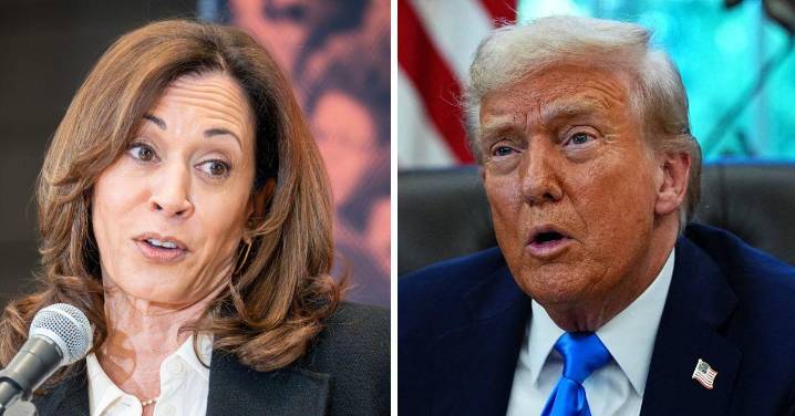 Kamala Harris Scorches 'Tyrant' Donald Trump in First Interview Since Losing the 2024 Election