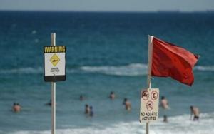 ‘Large shark’ kills man off Sydney beach
