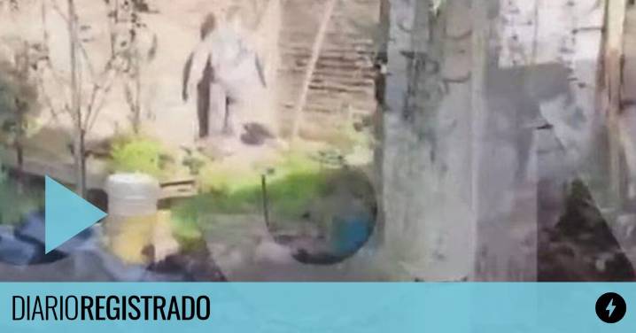 Revelan imágenes del patio donde torturaron, asesinaron y enterraron a Morena, Brenda y Lara