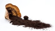 Olvidate de tirar la borra de café: mirá cómo crear esto tan hermoso y re útil en casa, de la forma más fácil y rápida