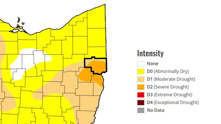 Most of Columbiana County in severe drought