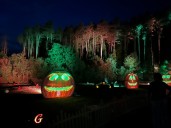 Take a walk through ‘The Witching Hour’ at Glenlore Trails