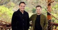 I'm A Celeb All Stars line-up confirmed as Gemma Collins and David Haye return
