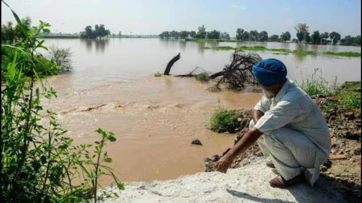 Kharif output under threat as excess rains hit standing crops