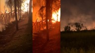 Un incendio cerca de la M-40 sorprende a los vecinos de Hortaleza y moviliza a 5 dotaciones de bomberos