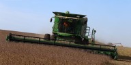 Cuáles son los productos que tendrán 0% de retenciones hasta el 31 de octubre