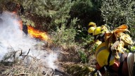 Incendio forestal de nivel 2 en Cerezo de Arriba (Segovia)
