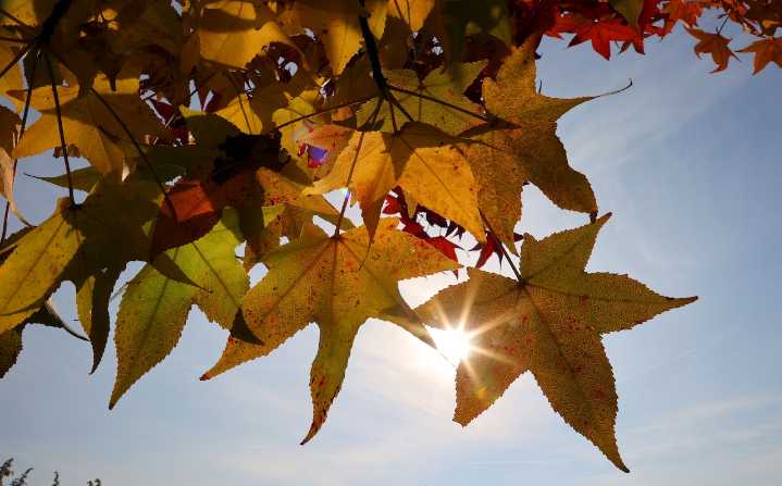 First day of fall 2025: What the autumnal equinox means for NE Ohio
