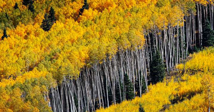 Fall begins, but summer monsoon lingers in New Mexico this week