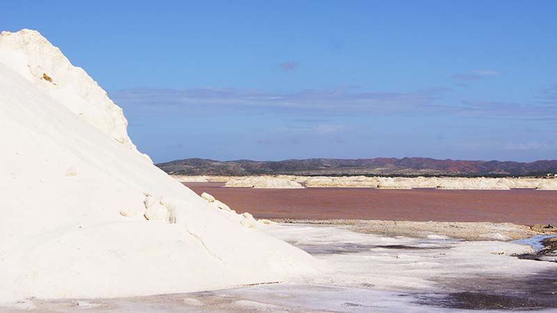 Reactivan producción de sal en Araya con inversión internacional de más de 30 millones de dólares