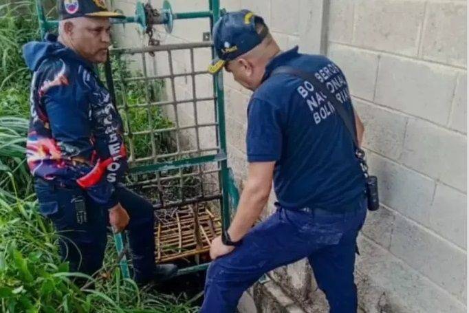 Hallan muerta a vocera comunal