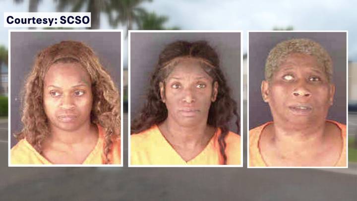 3 women, juvenile caught stealing hundreds of dollars worth of merchandise from North Port shopping center