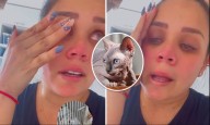 Andrea niega haber matado a su gatito