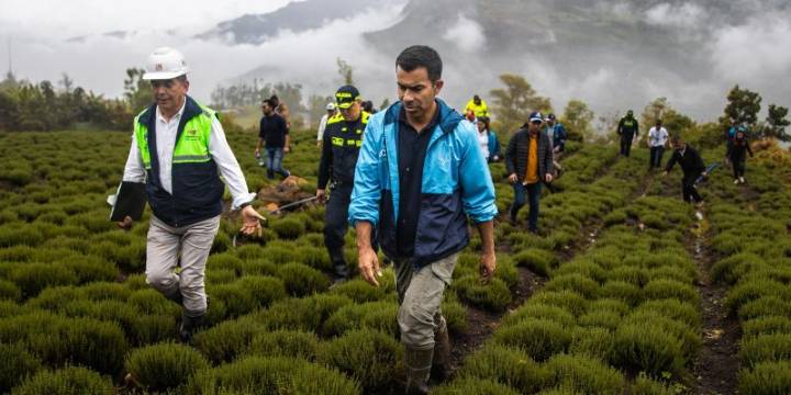 “Es absurdo e injusto”: gobernador Rey rechaza señalamientos en la vía al Llano