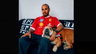 Fórmula Uno se solidariza con Lewis Hamilton por la muerte de Roscoe