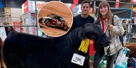 El matrimonio cordobés que cría vacas, ganó el Rally Dakar y va por el Campeonato Mundial: “Podemos lograrlo”