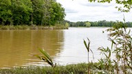 Keep all the fish you can catch at this lake before it closes