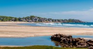 "Rotten egg" smell pervades Massachusetts city after hurricane blows in invasive seaweed