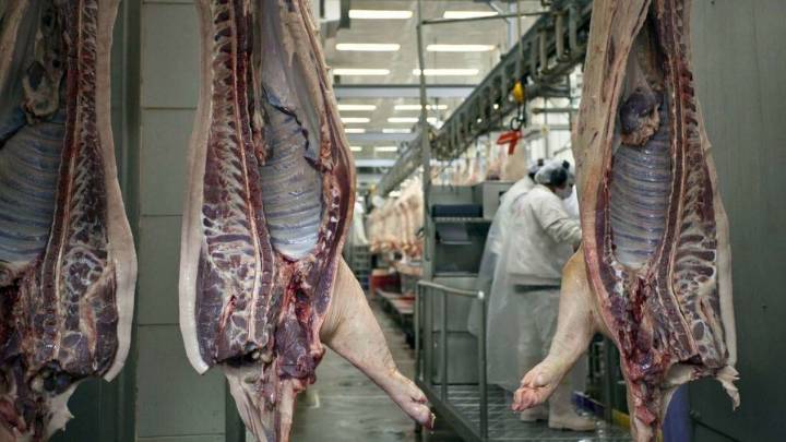 Santa Fe acompaña los récords del sector porcino nacional con el 18,5% de la faena