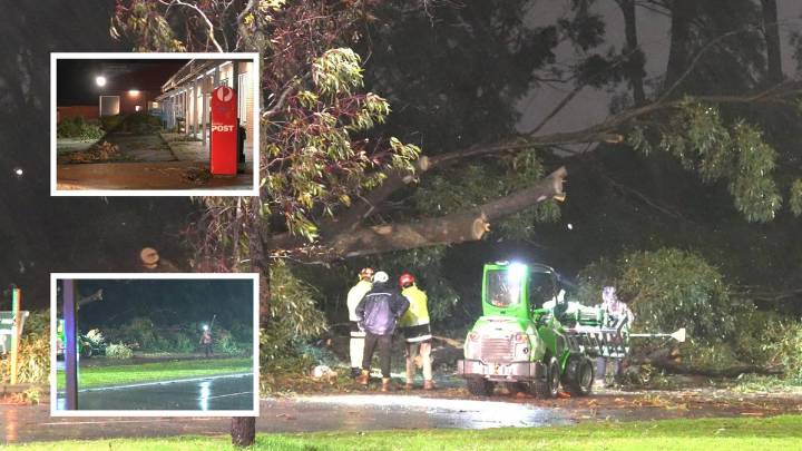 Perth weather: Record winds and heavy rain fells trees, sends debris flying across metropolitan area and WA