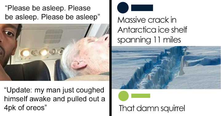38 Times A Comment Was So Good, It Made Its Way Onto The ‘Comment Awards’ Instagram Account