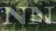 Reportan el hallazgo de un hombre sin vida colgado de un nanchi