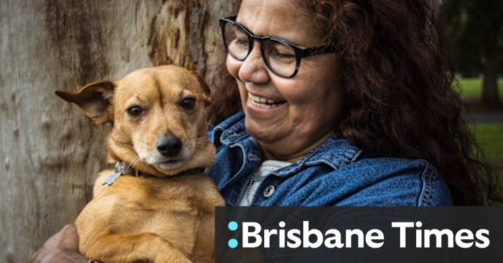 Aussie Desert Dogs: A dog’s journey from Yuendumu in the Northern Territory outback to pampered city digs in Melbourne; Pet Rescue
