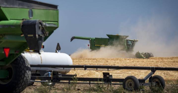Magic Valley designated as disaster area for drought, farmers eligible for loans