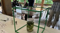 One Cubic Foot: An unfiltered look at the Genesee River