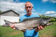 This super-sized salmon just obliterated the New York State record—so why isn’t a state record?