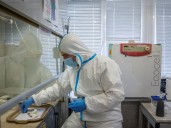 Delphi-2M: la IA que predice enfermedades años antes de su aparición