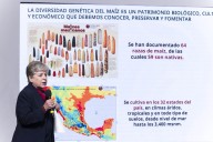 Península de Yucatán, zona crítica por tala de menonitas y maíz transgénico: Semarnat